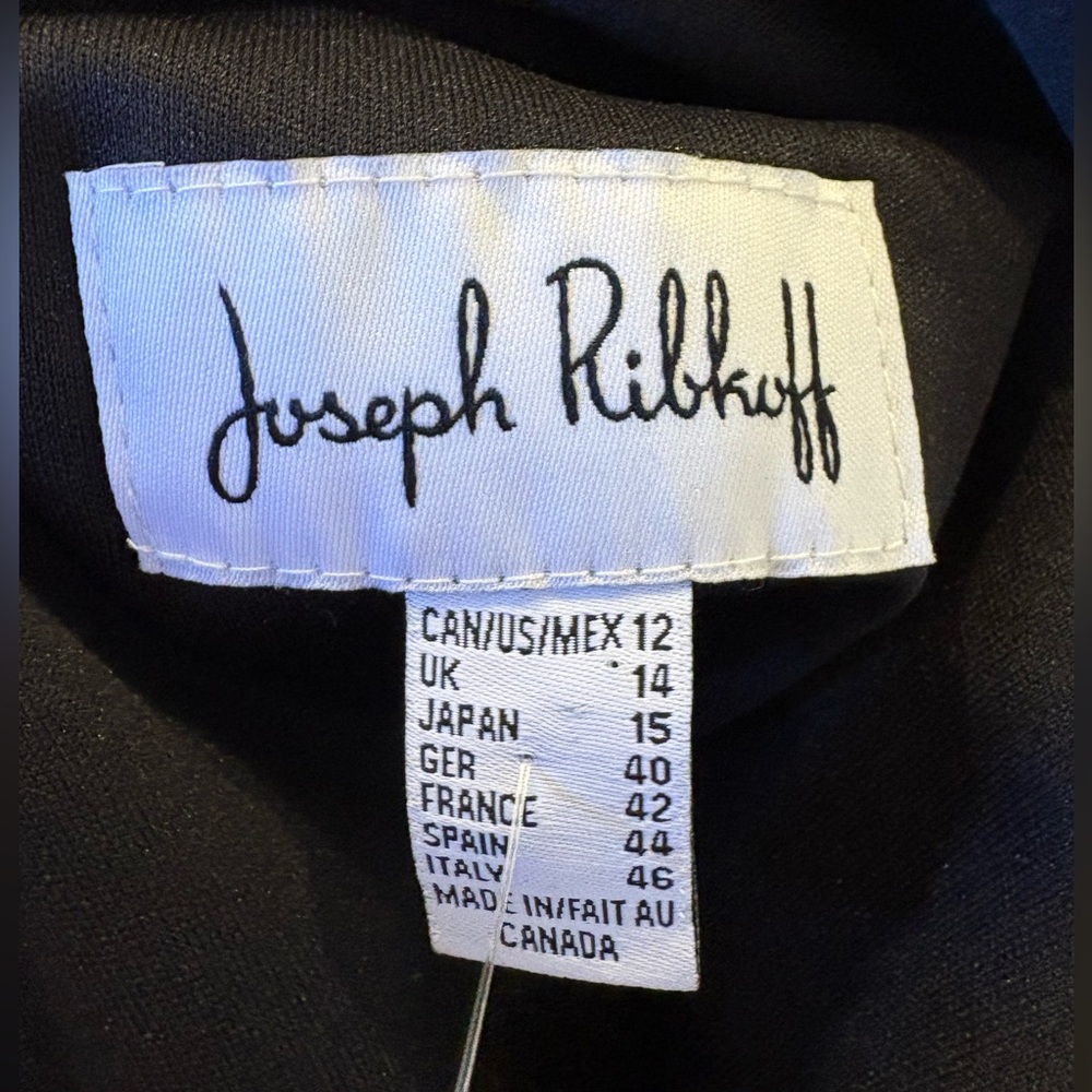 Joseph Ribkoff Floral Fit & Flare Dress Size 12 Black Sleeveless V Neck - Picture 5 of 8
